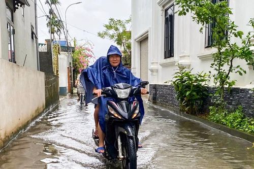 Ninh Bình: Cây đổ, khu dân cư ngập nước trước khi bão số 5 đổ bộ