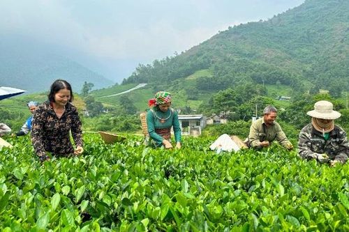 Rút ngắn khoảng cách giữa các vùng miền