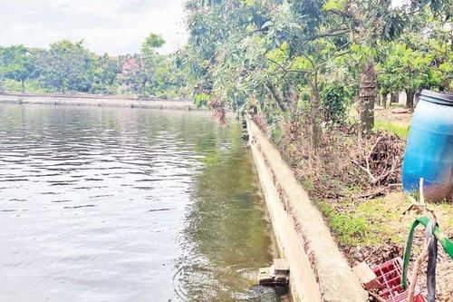 Bài 2: Nông dân thời đại mới