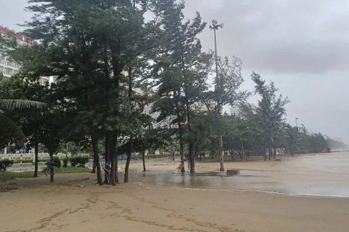 Sầm Sơn sẵn sàng ứng phó bão số 5