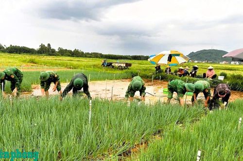 Lan tỏa khí thế cách mạng, tô thắm tình quân dân nơi biên giới, hải đảo