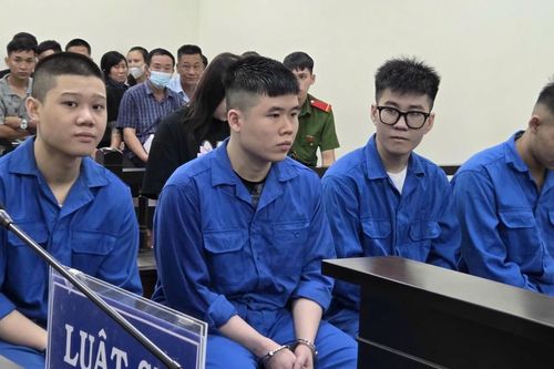 Từ gói hàng cấm trong chậu cây cảnh, 5 người phải trả giá