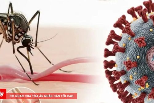Bộ Y tế bác tin đồn Việt Nam có ca mắc Chikungunya