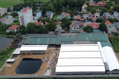 Ngột ngạt, cay mắt ở khu dân cư sống cạnh 400 con bò ở Thanh Hóa