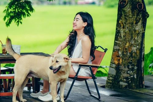 Trốn phố về thung lũng cách Hà Nội 2 giờ lái xe, hái trái đặc sản đang chín rộ