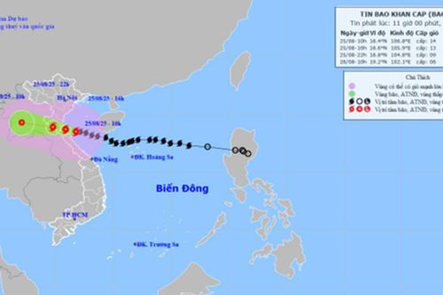 TIN BÃO SỐ 5 (lúc 11h ngày 25/8): Cách Nghệ An khoảng 120km về phía Đông Đông Nam, gió giật cấp 17
