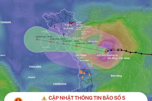 Bão số 5 đang áp sát đất liền: Người dân cập nhật diễn biến sớm nhất từ đâu?