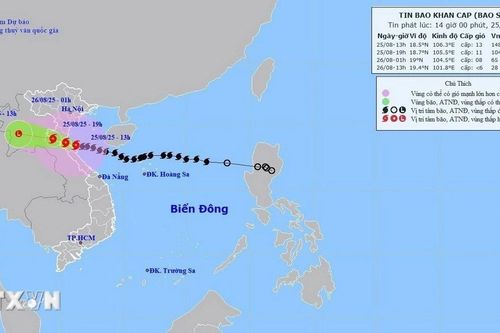Cấm mọi phương tiện trên cao tốc Bắc-Nam đoạn qua tỉnh Nghệ An để tránh bão số 5