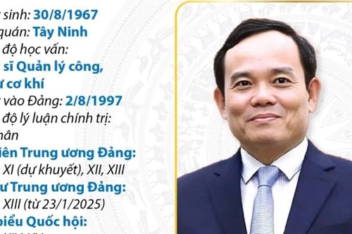Bí thư Thành ủy Thành phố Hồ Chí Minh Trần Lưu Quang