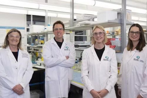 Australia thử nghiệm thành công thuốc mới điều trị ung thư não