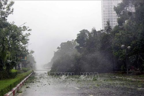 Bão số 5 đã vào đất liền khu vực Nghệ An - Hà Tĩnh, 6 tỉnh Bắc Bộ và Trung Bộ mưa lớn