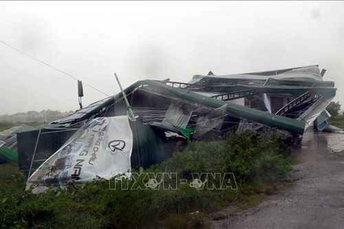 Bão số 5 càn quét qua Hà Tĩnh làm 1 người tử vong và nhiều thiệt hại về tài sản, hoa màu