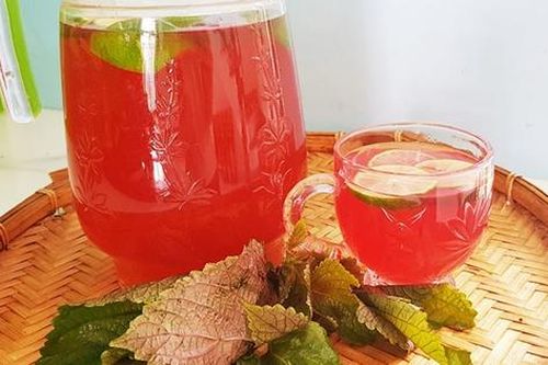 Những người 'đại kỵ' với nước lá tía tô, biết mà tránh kẻo rước họa