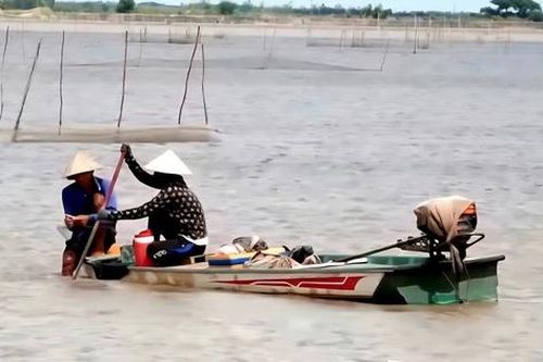 'Cần câu cơm' của nông dân miền Tây trên cánh đồng nước trắng