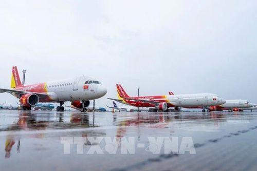 Bão số 5: Có 65 chuyến bay bị ảnh hưởng trong ngày 25/8