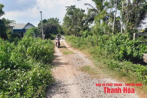 Thấp thỏm những tuyến đê xung yếu qua địa bàn xã Thắng Lợi