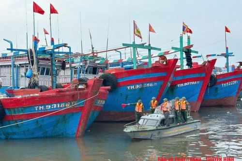 BĐBP chủ động, quyết liệt, không để bị động bất ngờ trong phòng chống bão số 5