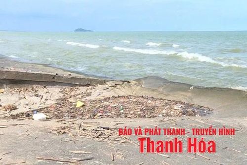 Nhiều đê biển trong khu vực bão số 5 đổ bộ có nguy cơ bị tràn
