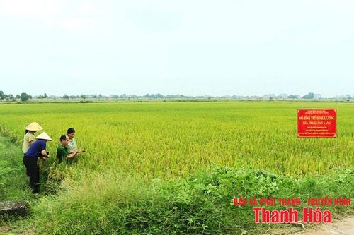 'Chìa khóa' nâng cao năng lực cạnh tranh cho các tổ chức và doanh nghiệp khoa học công nghệ