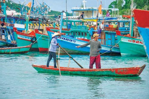 Nhịp sống ở cảng cá An Thới
