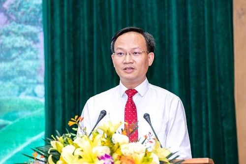 Tiếp tục nâng cao chất lượng sản phẩm, mở rộng thị trường tiêu thụ vải thiều trong năm 2026