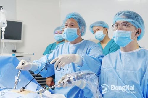 Chú trọng chuyển giao kỹ thuật mới, kỹ thuật cao
