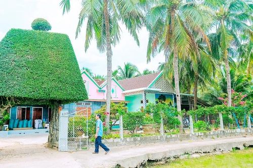 Hương sen, bóng dừa và ký ức xưa ở Phù Mỹ Tây