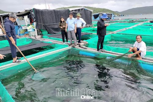 Tiềm năng nuôi cá tai bồ