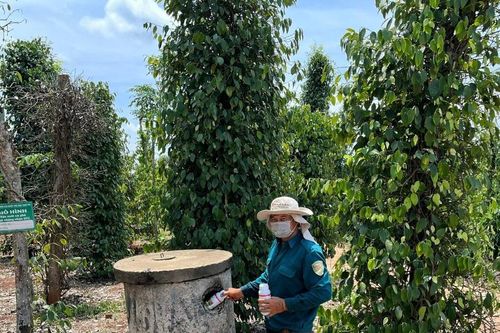 Lâm Ðồng tích cực triển khai biện pháp bảo vệ môi trường