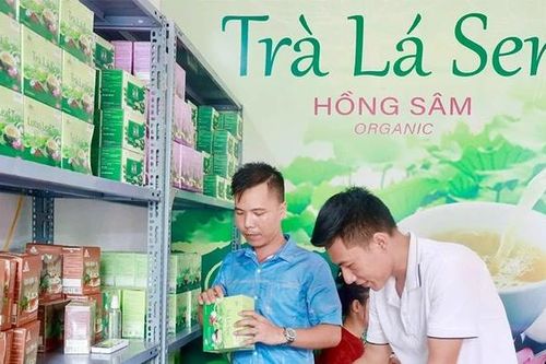 Tăng giá trị nông sản theo tiêu chuẩn VietGAP