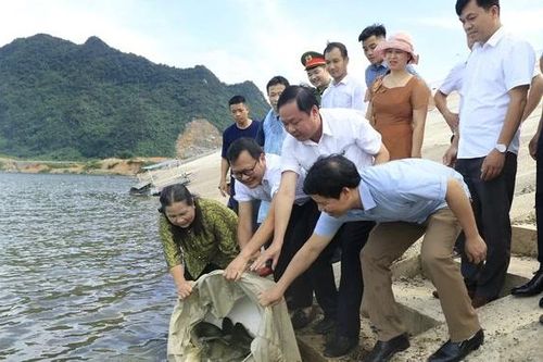 Thả 1 tấn cá giống tại hồ Cánh Tạng