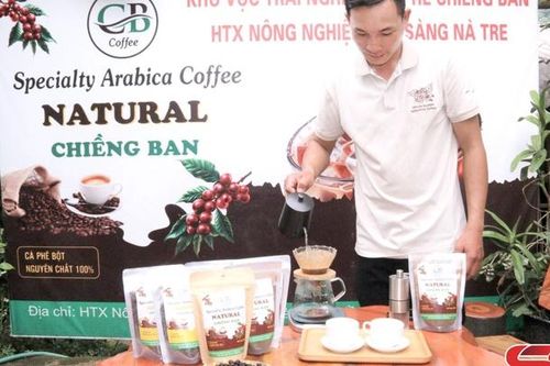 Khởi nghiệp từ trồng cây cà phê