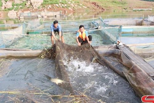 Mường Sại bứt phá vươn lên