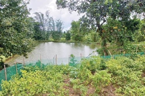 Vươn lên từ nghèo khó