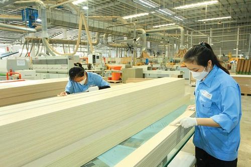 Động lực mới cho khởi nghiệp và đổi mới sáng tạo