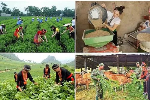 Đẩy nhanh tiến độ thực hiện Chương trình MTQG phát triển kinh tế - xã hội vùng đồng bào dân tộc thiểu số và miền núi