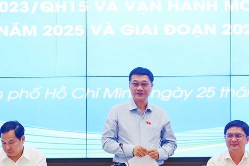 Phó Chủ tịch Quốc hội Vũ Hồng Thanh làm việc với UBND TP. Hồ Chí Minh