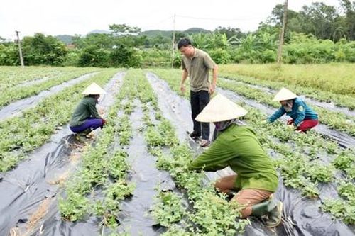 Từ nông thôn gian khó đến diện mạo nông thôn mới khởi sắc ở Quảng Trị