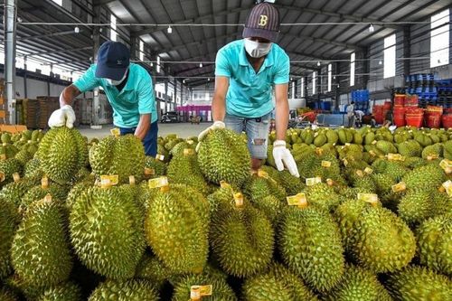 HAG thoát diện cảnh báo, con trai bầu Đức muốn nâng sở hữu lên gần 5%