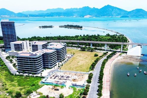 Ông Trần Đình Thiên làm Chủ tịch Hội đồng Tư vấn xây dựng Trung tâm Tài chính quốc tế Việt Nam tại Đà Nẵng