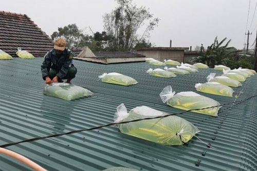 Ba người trong gia đình thương vong khi gia cố nhà chống bão
