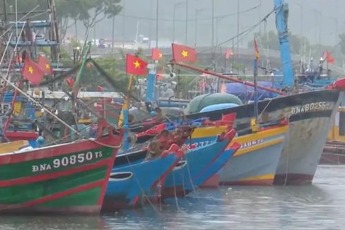 Các tỉnh miền Trung cấm biển, tàu thuyền vào nơi an toàn