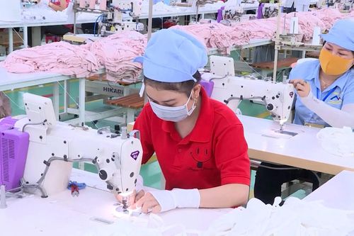Doanh nghiệp linh hoạt thích ứng thuế đối ứng 20% từ Mỹ