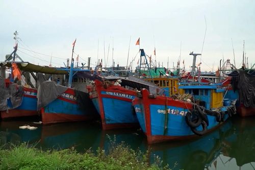 Tàu cá Quảng Ngãi dồn về cảng tránh bão số 5