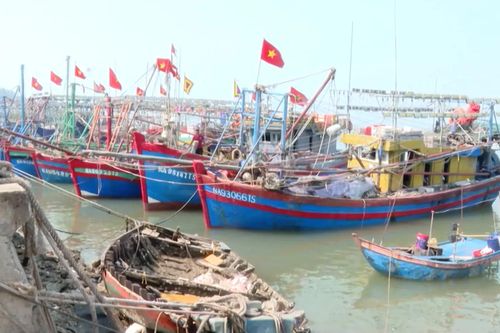 Chủ tịch UBND Nghệ An: Toàn bộ tàu thuyền phải vào bờ