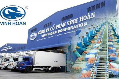 Vĩnh Hoàn (VHC) đạt hơn 1.270 tỷ đồng doanh thu tháng 7/2025, thị trường xuất khẩu ghi nhận sự trái chiều