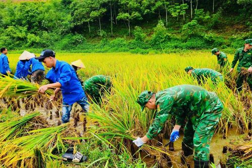 Sao xanh tỏa sáng vùng biên cương - Bài 6
