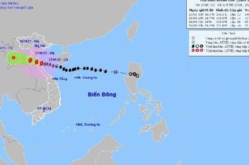 Ngành đường bộ trực 24/24 ứng phó bão số 5