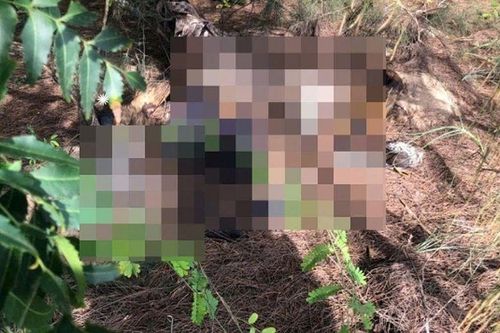 Rùng mình phát hiện thi thể không nguyên vẹn với nhiều dấu hiệu bất thường