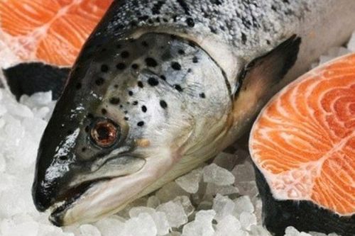Thói quen sai lầm khi ăn cá: Nhiều người giữ lại những phần 'bẩn' nhất, vô tình biến món ăn bổ dưỡng thành chất độc